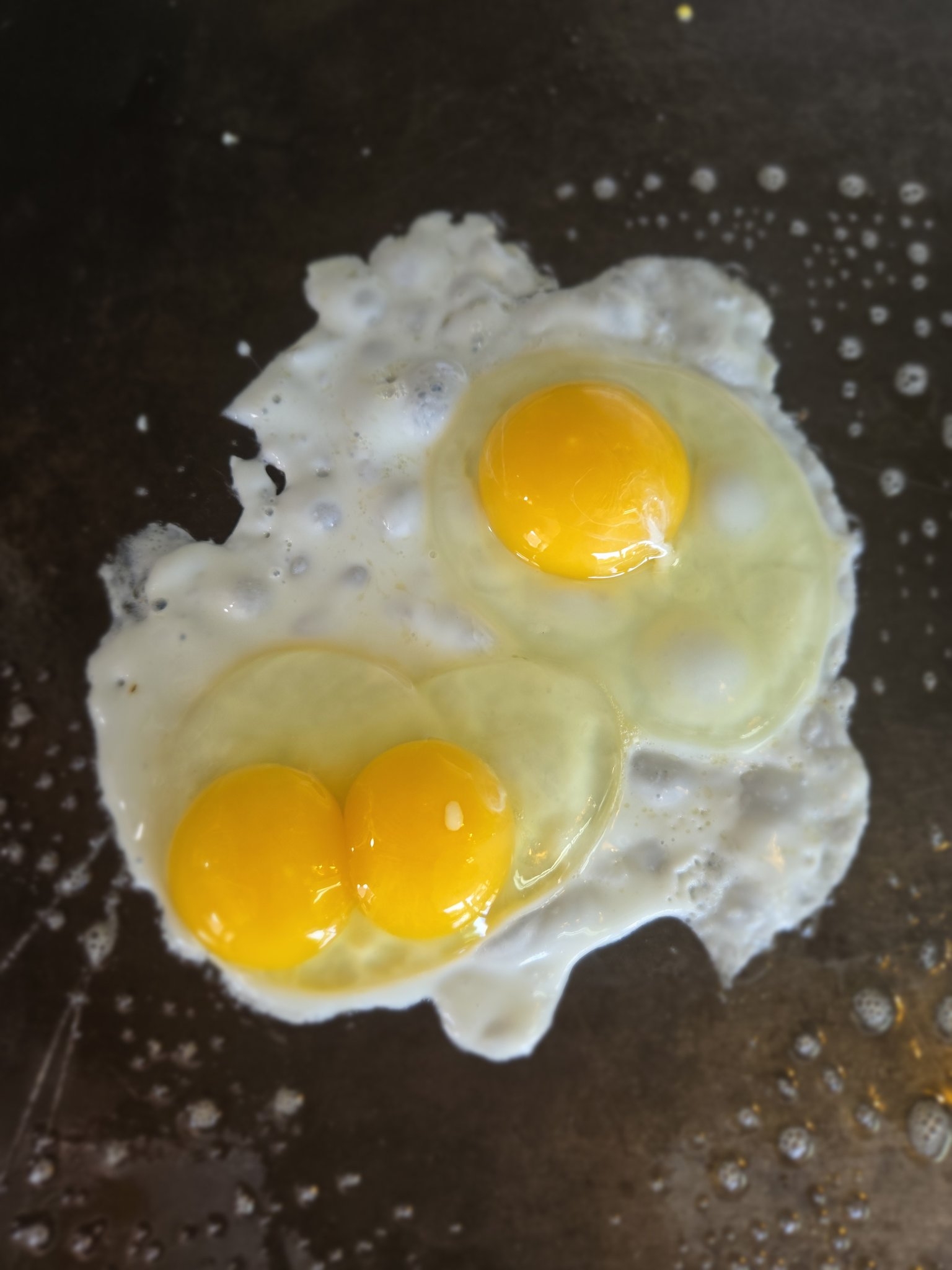 Eggs 